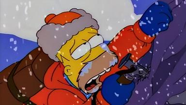 Los Simpson 9x23