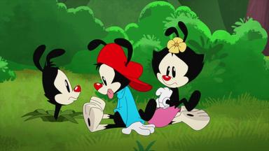 Animaniacs 2x26