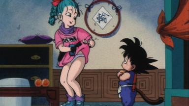 Dragon Ball 1x1