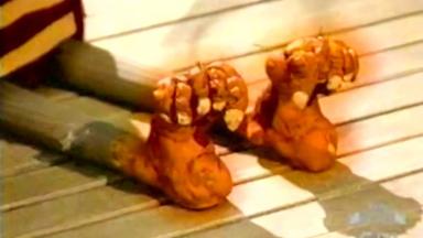 Las maravillosas desventuras de Flapjack 1x3