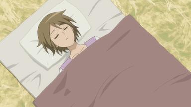 Log Horizon 2x24