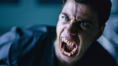 La orden 1x8
