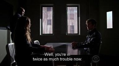 Mentes criminales 10x20