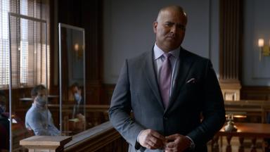 Bull 5x14