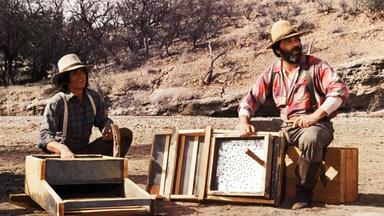 La casa de la pradera 3x21