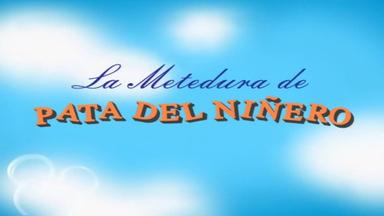 Brandy y Mr. Whiskers 1x2