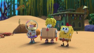 Kampamento Koral: Bob Esponja primeras aventuras 1x5