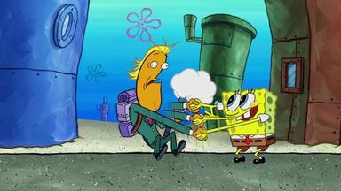 Bob Esponja 12x5