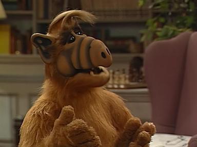 ALF 4x10