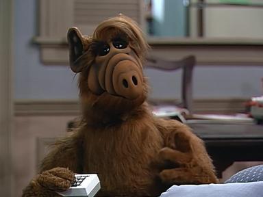 ALF 2x5