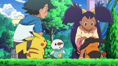 Pokémon 14x4