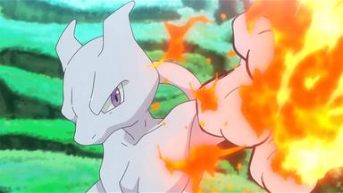 Pokémon 23x46