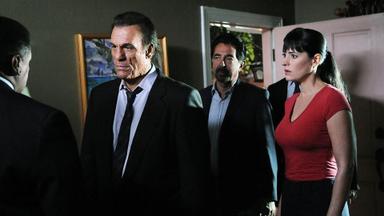 Mentes criminales 6x1
