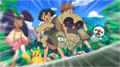 Pokémon 14x3