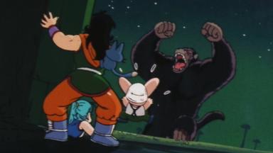 Dragon Ball 1x13
