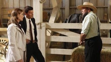 Bones 5x3