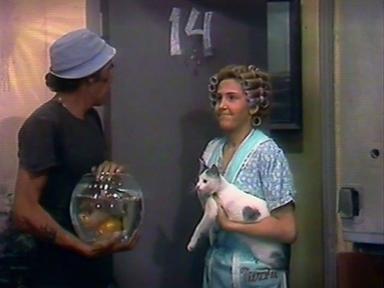 El Chavo del Ocho 1x15
