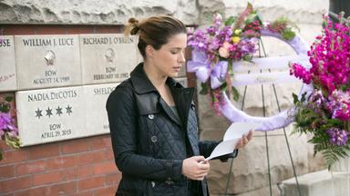 Chicago P.D. 2x21