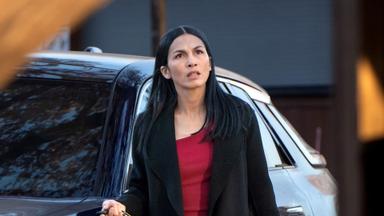 La chica de la limpieza 4x5