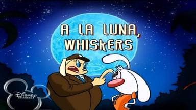Brandy y Mr. Whiskers 1x4