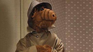 ALF 1x6