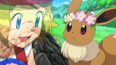 Pokémon (Pokemon) 18x41