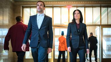 Elementary 5x6