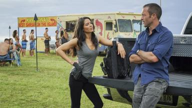 Hawái 5.0 8x20