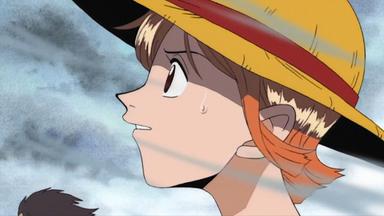 One Piece 1x43