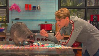 Henry Danger 5x1