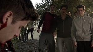 Teen Wolf 3x4