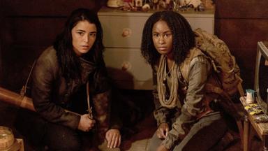Van Helsing 5x8