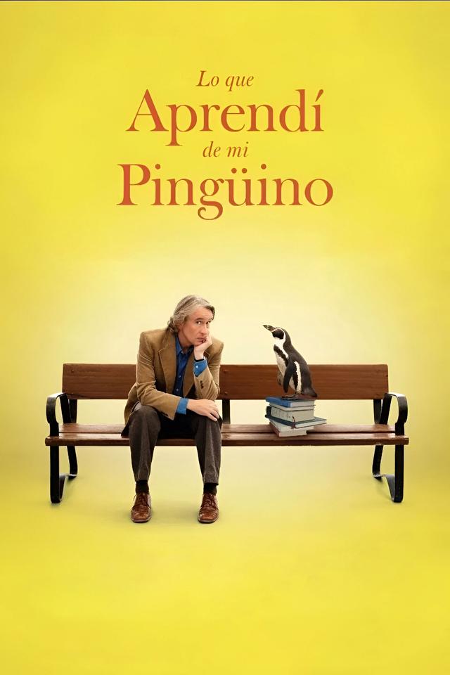 Lo que aprendí de mi pingüino