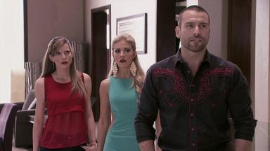 El señor de los cielos 4x4