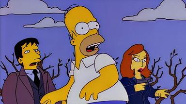 Los Simpson 8x10