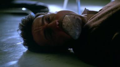 Fringe 1x11