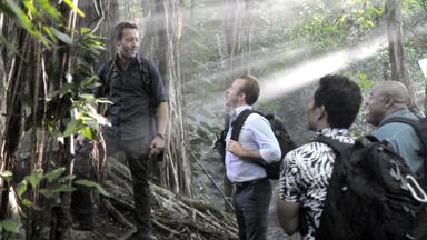 Hawái 5.0 6x1