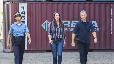 Mentes criminales: Sin fronteras 2x8