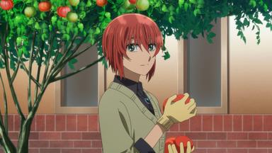 The Ancient Magus' Bride (Mahou Tsukai no Yome) 2x17