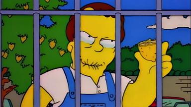 Los Simpson 6x24