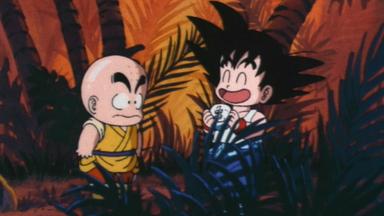 Dragon Ball 1x16