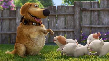 Dug y Carl 1x2