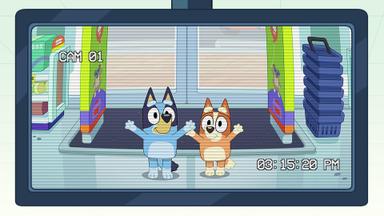 Bluey 3x45