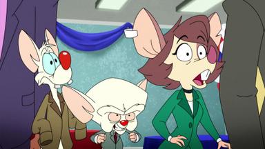 Animaniacs 1x24