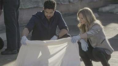 Mentes criminales 12x12