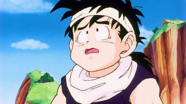 Dragon Ball Z 1x25