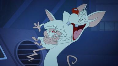 Animaniacs 1x41