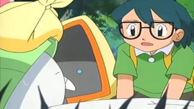 Pokémon 8x17