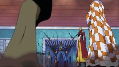 One Piece 8x246