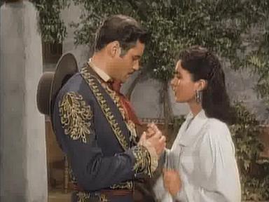 El Zorro 2x4
